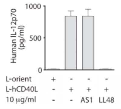 Neutralization: CD40 Ligand/TNFSF5 Antibody (LL48) [DDX0140P-100]