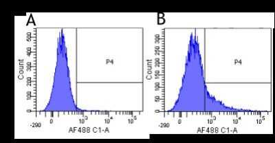 Flow Cytometry: CD40 Ligand/TNFSF5 Antibody (hu5c8 (Ruplizumab)) - Chimeric - Azide and BSA Free [NBP2-52678]