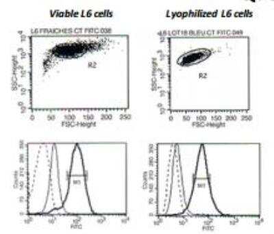 Flow Cytometry: CD40 Ligand/TNFSF5 [DDX-S2]
