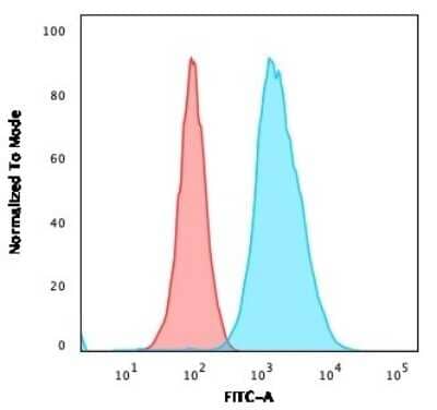 Flow Cytometry: CD40/TNFRSF5 Antibody (C40/1605) [NBP2-53389]