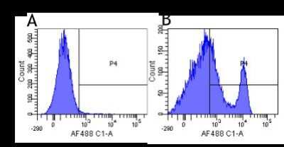 Flow Cytometry: CD40/TNFRSF5 Antibody (G28.5) - Chimeric - Azide and BSA Free [NBP2-52648]