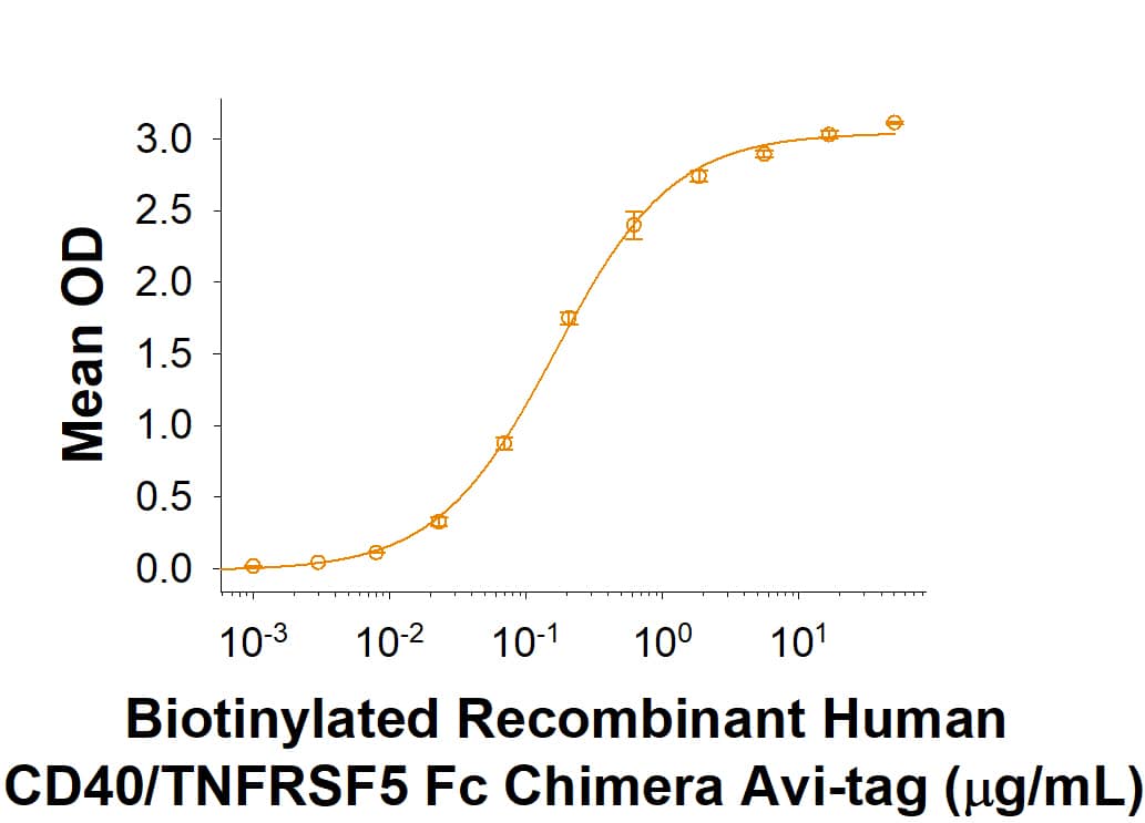 Recombinant Human CD40/TNFRSF5 Fc Avi-tag Protein Binding Activity