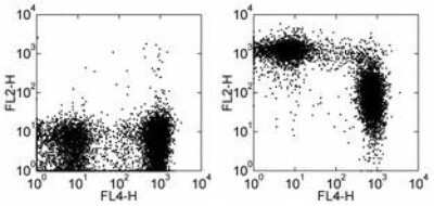 Flow Cytometry: CD43/Sialophorin Antibody (R2/60) [NBP1-43413]