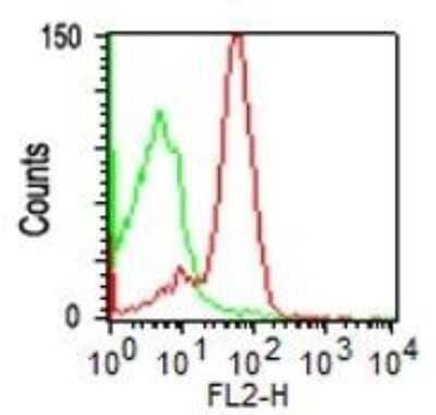 Flow Cytometry: CD43/Sialophorin Antibody (SPM503) - Azide and BSA Free [NBP2-34775]
