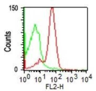 Flow Cytometry: CD43/Sialophorin Antibody (SPM503) [NBP2-32822]