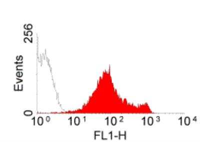 Flow Cytometry: CD44 Antibody (5035-41.1D) - BSA Free [NB100-65905]