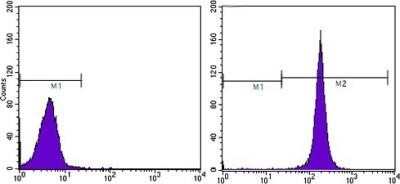 Flow Cytometry: CD44 Antibody (8E2F3) - Azide and BSA Free [NBP2-80650]