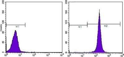 Flow Cytometry: CD44 Antibody (8E2F3) - BSA Free [NBP1-47386]