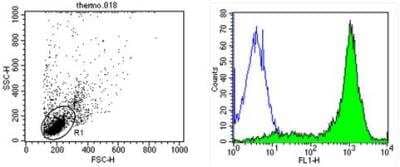 Flow Cytometry: CD44 Antibody (Hermes-1) - Azide and BSA Free [NBP2-22530]