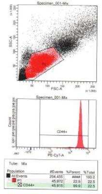 Flow Cytometry: CD44 Antibody (IM7) - BSA Free [NBP1-41266]