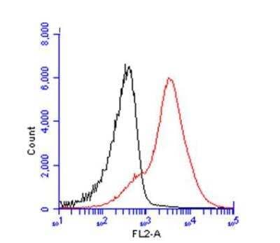 Flow Cytometry: CD45 Antibody [NBP2-15811]