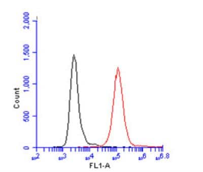 Flow Cytometry: CD45 Antibody [NBP2-15811]