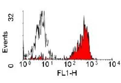 Flow Cytometry: CD45 Antibody (YKIX716.13) - BSA Free [NB100-65906]