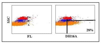 Flow Cytometry: CD45RB Antibody (DH16A) [NBP2-60914]