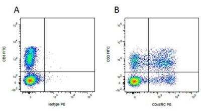 Flow Cytometry: CD45RC Antibody (MIL15) [NB100-65001]