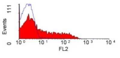 Flow Cytometry: CD45RC Antibody (OX22) - BSA Free [NB120-6406]