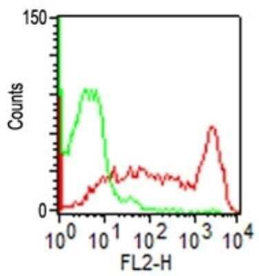 Flow Cytometry: CD45RO Antibody (UCHL-1) - Azide and BSA Free [NBP2-33104]