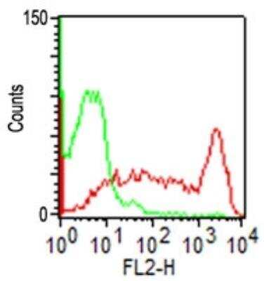 Flow Cytometry: CD45RO Antibody (UCHL-1) [NBP2-29631]