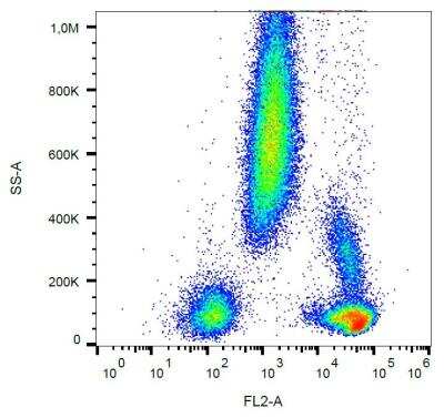 Flow (Cell Surface): CD48/SLAMF2 Antibody (MEM-102) - BSA Free [NB500-391]