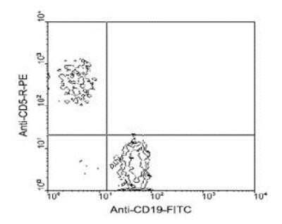 Flow Cytometry: CD5 Antibody (4H8E5) - Azide and BSA Free [NBP1-26703]