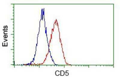 Flow Cytometry: CD5 Antibody (OTI7A7) - Azide and BSA Free [NBP2-70360]