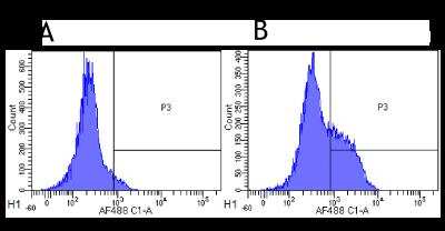Flow Cytometry: CD52 Antibody (Campath-1H) - Chimeric - Azide and BSA Free [NBP2-52645]