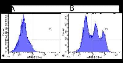 Flow Cytometry: CD52 Antibody (Campath-1H) - Chimeric - Azide and BSA Free [NBP2-52645]