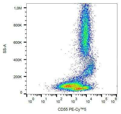 Flow (Cell Surface): CD55/DAF Antibody (MEM-118) [NB500-395]