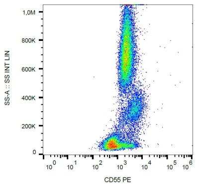 Flow (Cell Surface): CD55/DAF Antibody (MEM-118) [NB500-395]