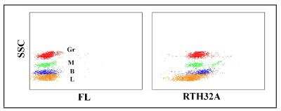 Flow Cytometry: CD58/LFA-3 Antibody (RTH32A) [NBP2-60929]