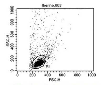 Flow Cytometry: CD58/LFA-3 Antibody (TS2/9) - Azide and BSA Free [NBP2-22542]