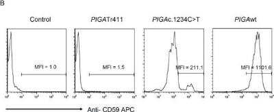 Flow Cytometry: CD59 Antibody (MEM-43/5) - BSA Free [NB500-400]
