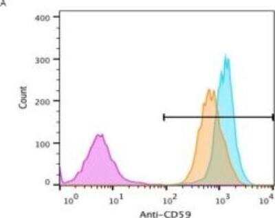 Flow Cytometry: CD59 Antibody (MEM-43/5) - BSA Free [NB500-400]