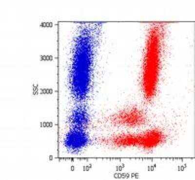 Flow Cytometry: CD59 Antibody (MEM-43) - BSA Free [NB500-330]