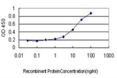 ELISA: CD5L Antibody (1C8) [H00000922-M01]