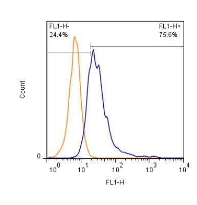 Flow Cytometry: CD63 Antibody (H5C6) - BSA Free [NBP2-42225]