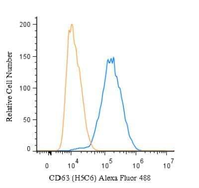 Flow (Intracellular): CD63 Antibody (H5C6) - BSA Free [NBP2-42225]