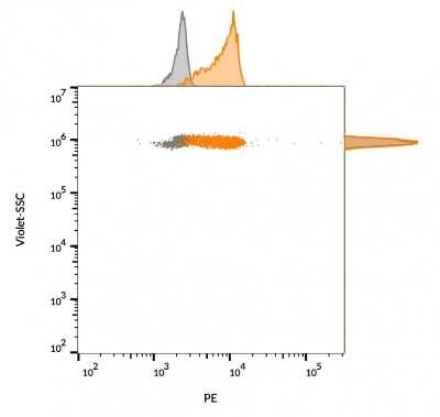 Flow Cytometry: CD63 Antibody (LAMP3/968) [NBP2-44810]
