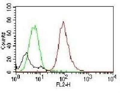 Flow Cytometry: CD63 Antibody (MX-49.129.5) - Azide and BSA Free [NBP2-34689]