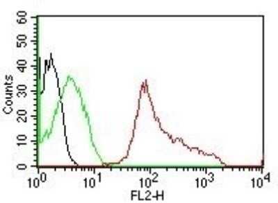 Flow Cytometry: CD63 Antibody (MX-49.129.5) - Azide and BSA Free [NBP2-34689]