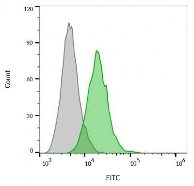 Flow Cytometry: CD63 Antibody (MX-49.129.5) - Azide and BSA Free [NBP2-34689]