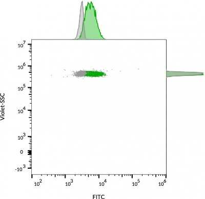 Flow Cytometry: CD63 Antibody (MX-49.129.5) - Azide and BSA Free [NBP2-34689]
