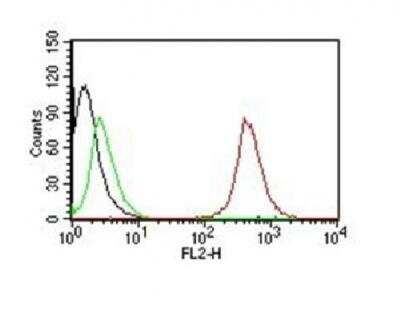 Flow Cytometry: CD63 Antibody (NKI/C3) - Azide and BSA Free [NBP2-34694]