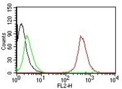 Flow Cytometry: CD63 Antibody (NKI/C3) - Azide and BSA Free [NBP2-34694]