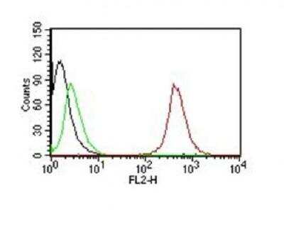 Flow Cytometry: CD63 Antibody (NKI/C3) [NBP2-32829]
