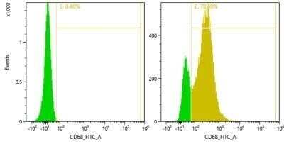 Flow Cytometry: CD68/SR-D1 Antibody (SPM130) - Azide and BSA Free [NBP2-34736]