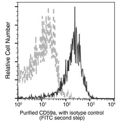 Flow Cytometry: CD59 Antibody (108) [NBP3-06096]