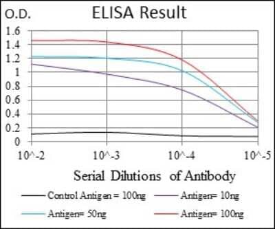 ELISA: CD74 Antibody (2D1B3) - BSA Free [NBP2-37341]