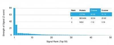 Protein Array: CD79A Antibody (IGA/1790R) [NBP2-54608]