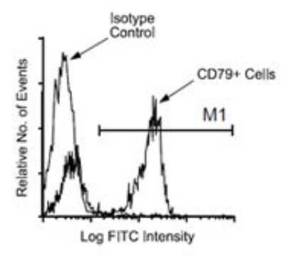 Flow Cytometry: CD79B Antibody (HM79-12) - Azide and BSA Free [NBP1-28140]